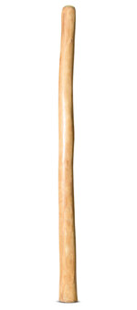 Medium Size Natural Finish Didgeridoo (TW1597)